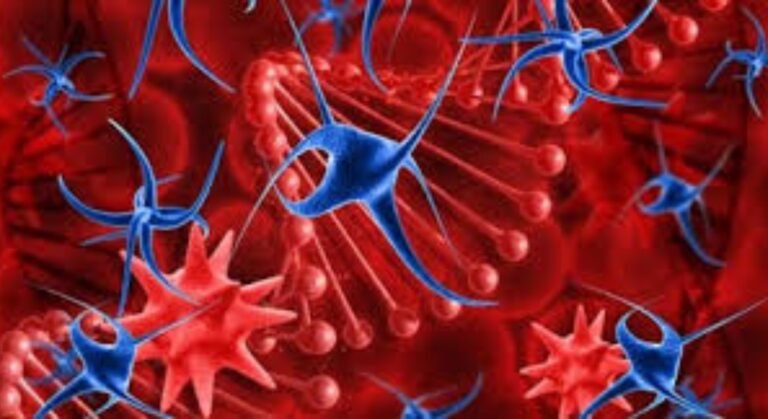 blood cancer image