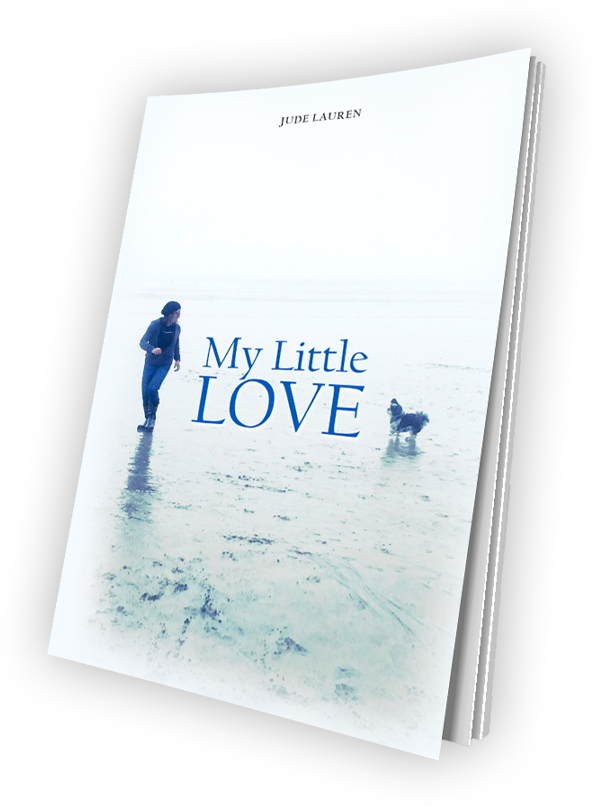 Book On Love by Author Jude Laurén